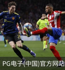 PG案例
